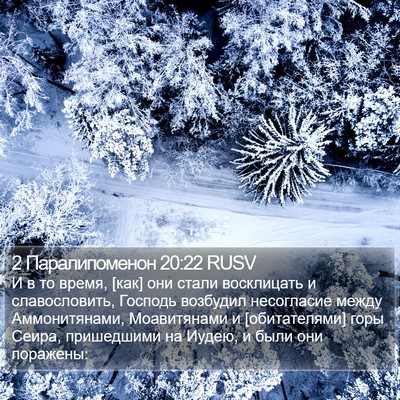 2 Паралипоменон 20:22 RUSV Bible Verse Image