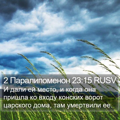 2 Паралипоменон 23:15 RUSV Bible Verse Image