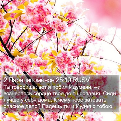 2 Паралипоменон 25:19 RUSV Bible Verse Image