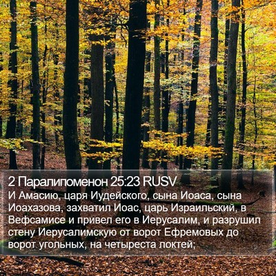 2 Паралипоменон 25:23 RUSV Bible Verse Image