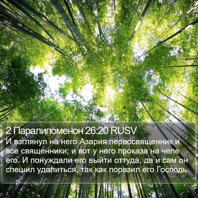 2 Паралипоменон 26:20 RUSV Bible Verse Image