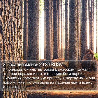 2 Паралипоменон 28:23 RUSV Bible Verse Image