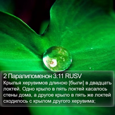 2 Паралипоменон 3:11 RUSV Bible Verse Image