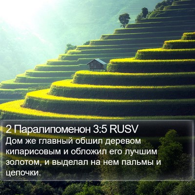 2 Паралипоменон 3:5 RUSV Bible Verse Image