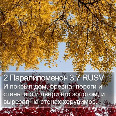 2 Паралипоменон 3:7 RUSV Bible Verse Image