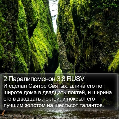 2 Паралипоменон 3:8 RUSV Bible Verse Image