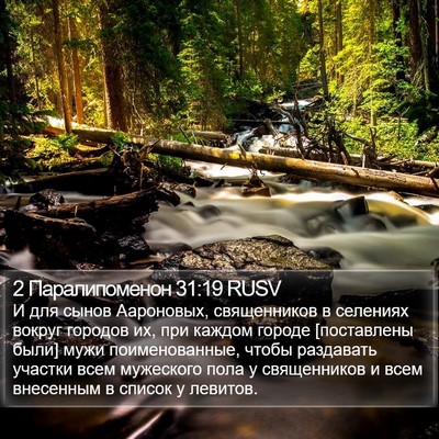 2 Паралипоменон 31:19 RUSV Bible Verse Image