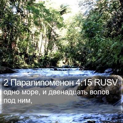 2 Паралипоменон 4:15 RUSV Bible Verse Image