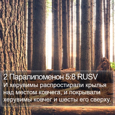 2 Паралипоменон 5:8 RUSV Bible Verse Image