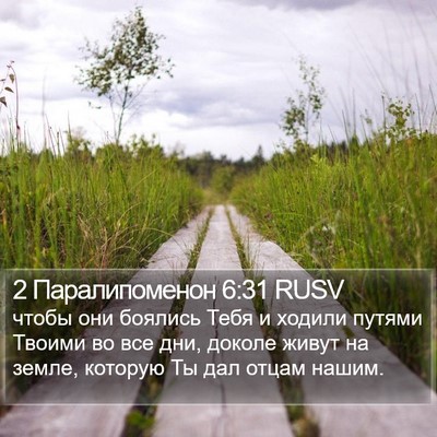 2 Паралипоменон 6:31 RUSV Bible Verse Image