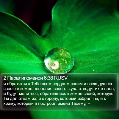 2 Паралипоменон 6:38 RUSV Bible Verse Image