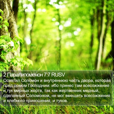 2 Паралипоменон 7:7 RUSV Bible Verse Image
