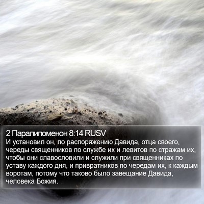 2 Паралипоменон 8:14 RUSV Bible Verse Image
