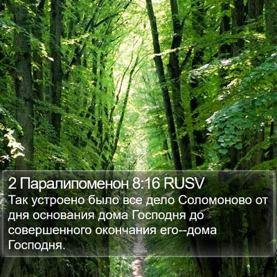 2 Паралипоменон 8:16 RUSV Bible Verse Image