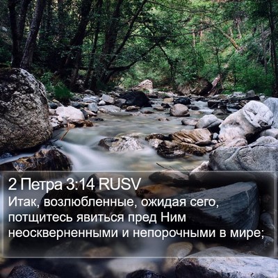 2 Петра 3:14 RUSV Bible Verse Image