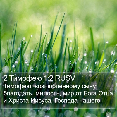 2 Тимофею 1:2 RUSV Bible Verse Image