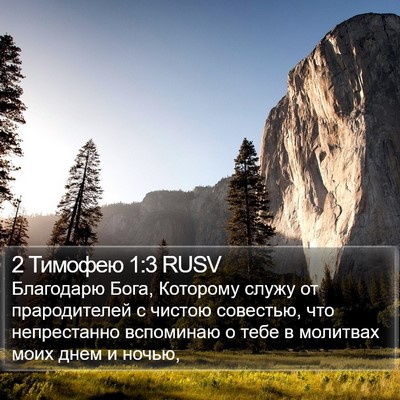 2 Тимофею 1:3 RUSV Bible Verse Image