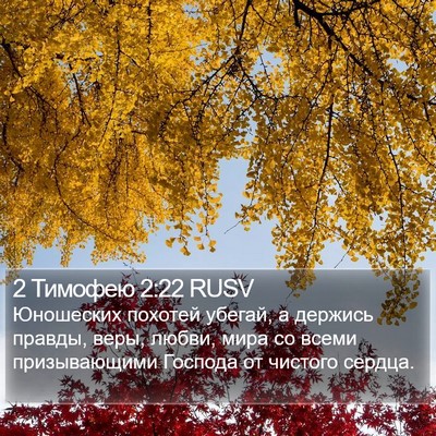 2 Тимофею 2:22 RUSV Bible Verse Image
