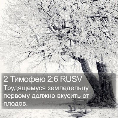 2 Тимофею 2:6 RUSV Bible Verse Image