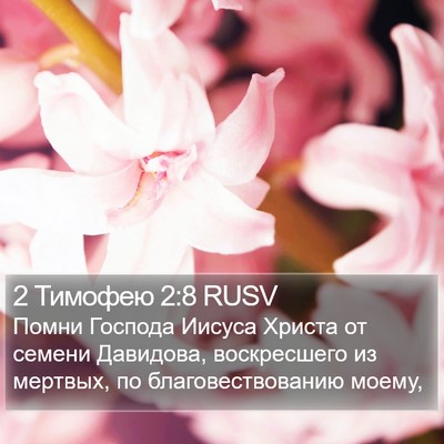 2 Тимофею 2:8 RUSV Bible Verse Image