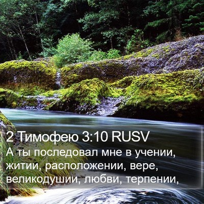 2 Тимофею 3:10 RUSV Bible Verse Image