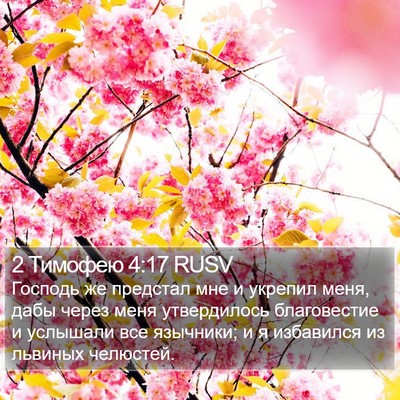 2 Тимофею 4:17 RUSV Bible Verse Image