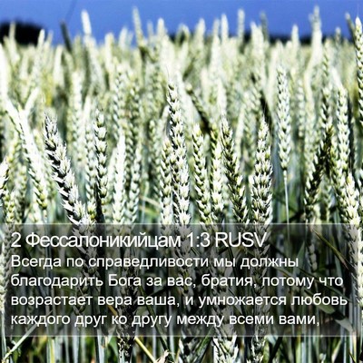 2 Фессалоникийцам 1:3 RUSV Bible Verse Image