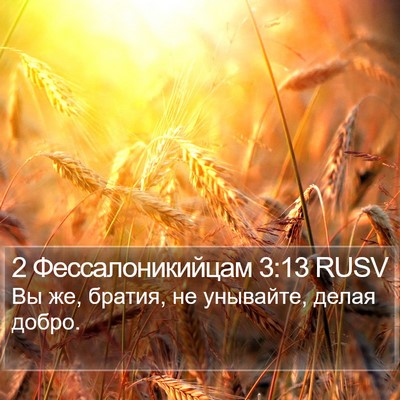 2 Фессалоникийцам 3:13 RUSV Bible Verse Image