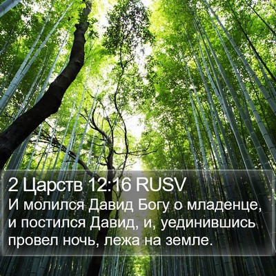 2 Царств 12:16 RUSV Bible Verse Image