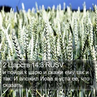 2 Царств 14:3 RUSV Bible Verse Image