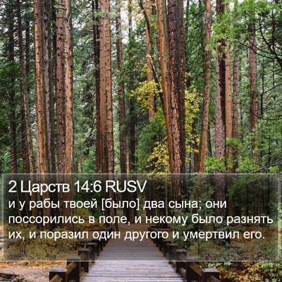 2 Царств 14:6 RUSV Bible Verse Image