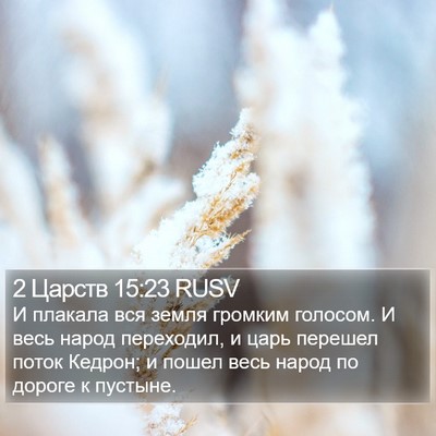 2 Царств 15:23 RUSV Bible Verse Image