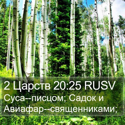 2 Царств 20:25 RUSV Bible Verse Image