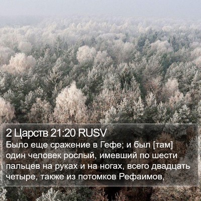2 Царств 21:20 RUSV Bible Verse Image