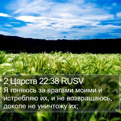 2 Царств 22:38 RUSV Bible Verse Image