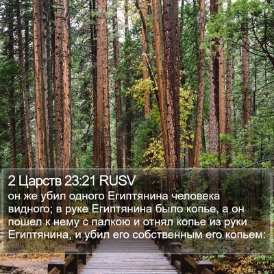 2 Царств 23:21 RUSV Bible Verse Image