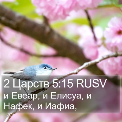2 Царств 5:15 RUSV Bible Verse Image