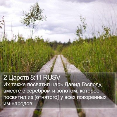 2 Царств 8:11 RUSV Bible Verse Image