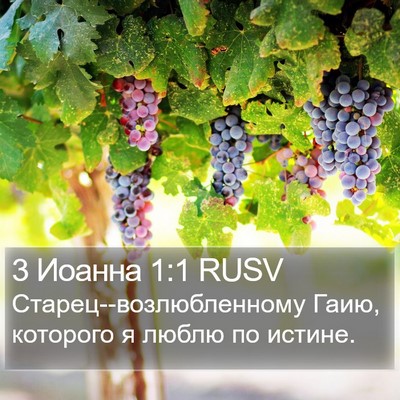3 Иоанна 1:1 RUSV Bible Verse Image