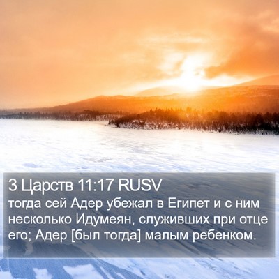 3 Царств 11:17 RUSV Bible Verse Image