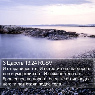 3 Царств 13:24 RUSV Bible Verse Image