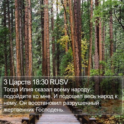 3 Царств 18:30 RUSV Bible Verse Image
