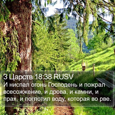 3 Царств 18:38 RUSV Bible Verse Image
