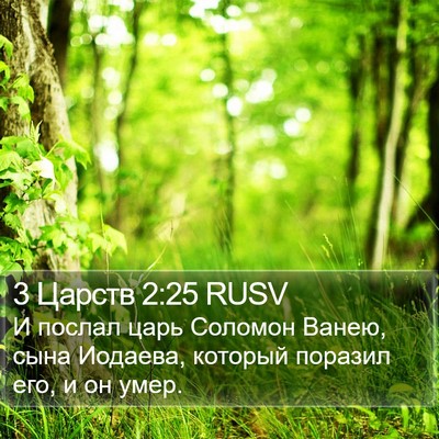 3 Царств 2:25 RUSV Bible Verse Image