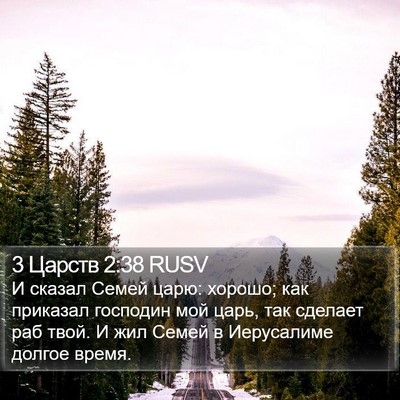 3 Царств 2:38 RUSV Bible Verse Image