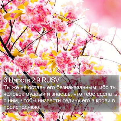 3 Царств 2:9 RUSV Bible Verse Image