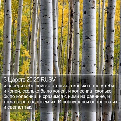 3 Царств 20:25 RUSV Bible Verse Image
