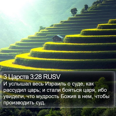 3 Царств 3:28 RUSV Bible Verse Image