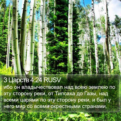 3 Царств 4:24 RUSV Bible Verse Image