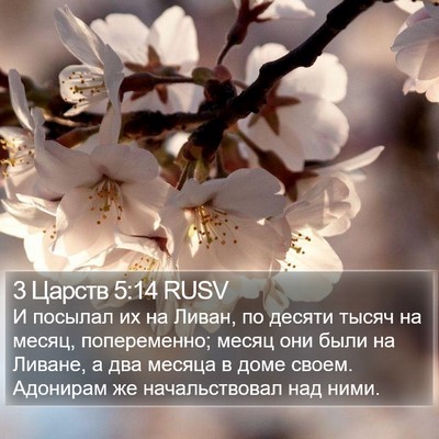 3 Царств 5:14 RUSV Bible Verse Image